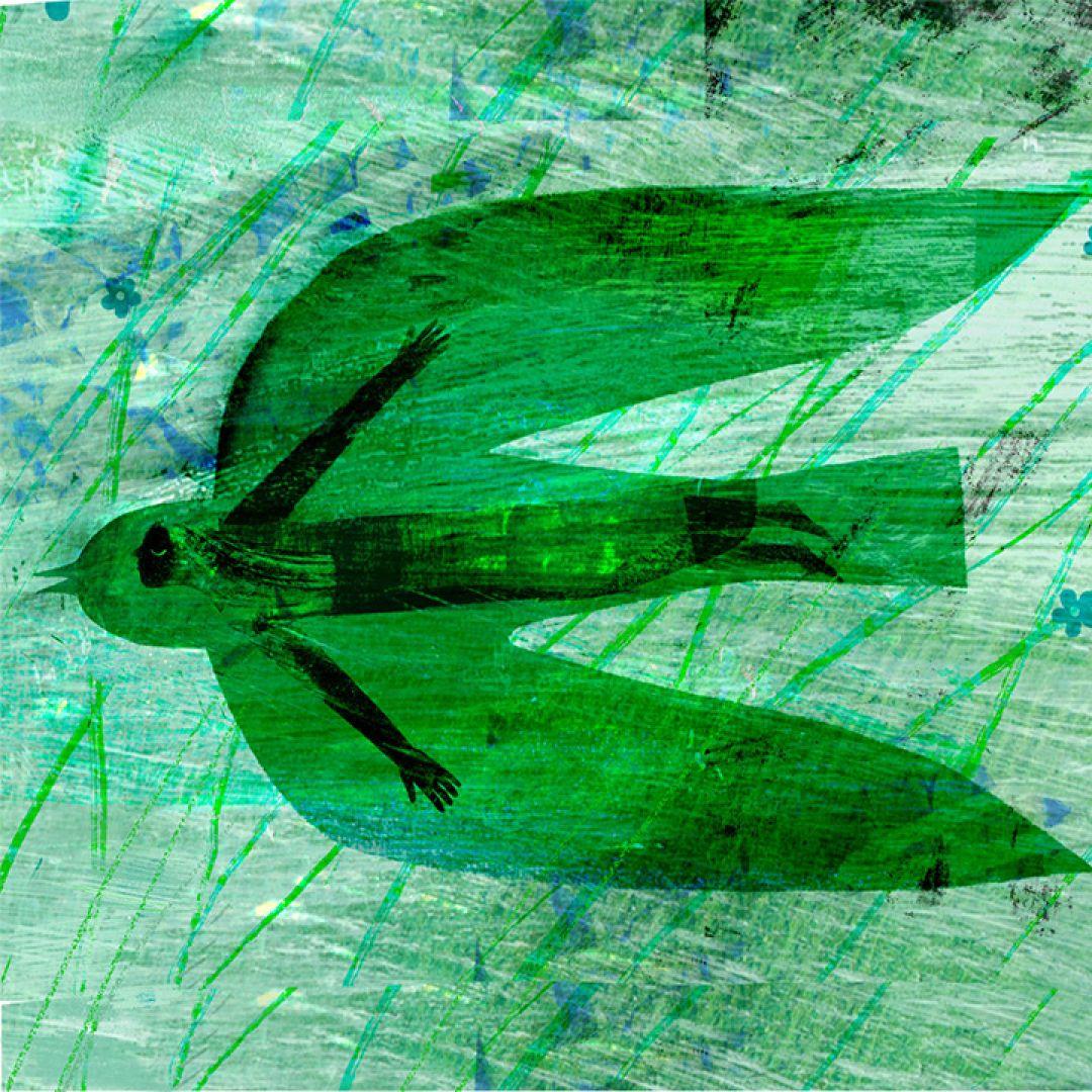 Bird flight, illustrazione di Oksana Drachkovska per Cose Belle Contest d'illustrazione 2023